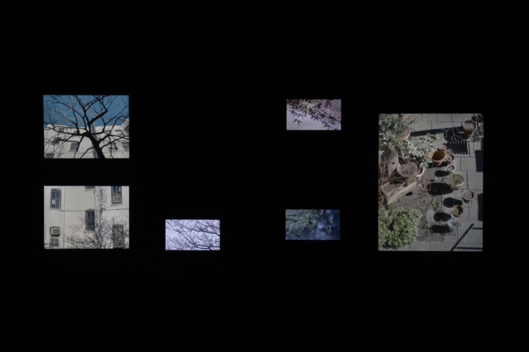 展览现场，《异步-空间脉动》（2017），坂本龙一+ 卅克柏岚，“观音·听时”, 木木美术馆 （钱粮胡同馆），北京，2021