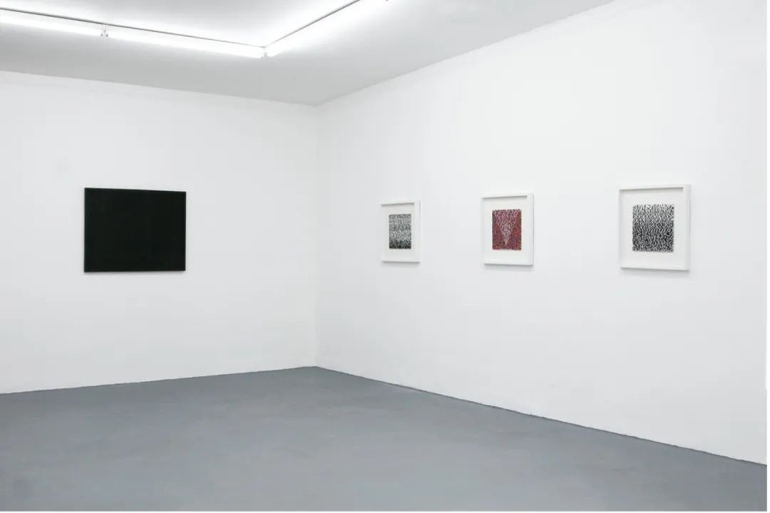 “Newcomer”  邵巍个展 展览现场 杜塞尔多夫，德国，2011