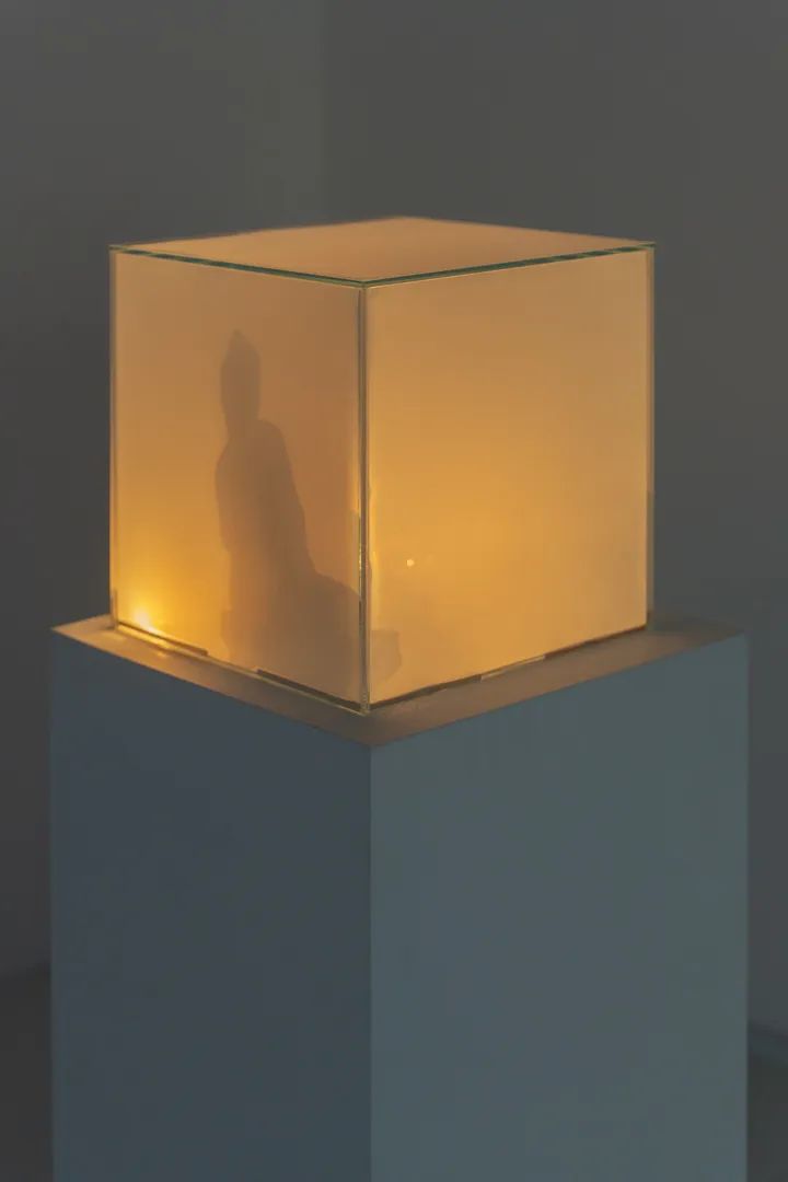 吉姆·坎贝尔 《影子（海森堡）》；装置，定制电子元件，录像机，玻璃立方体与液晶显示材料，雕像；1993-1994