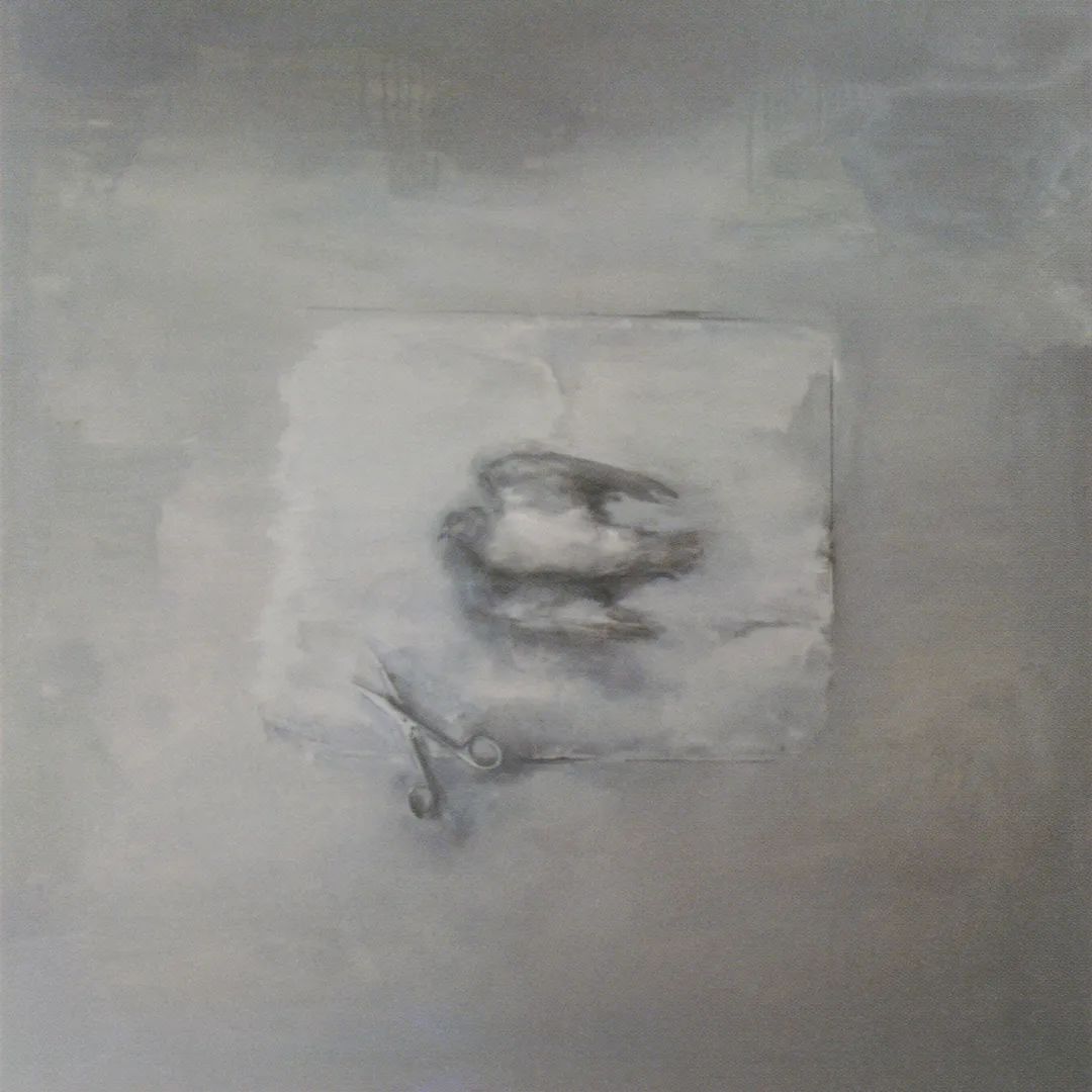 《死鸟系列No.3》，布面油画，100x100cm，2004