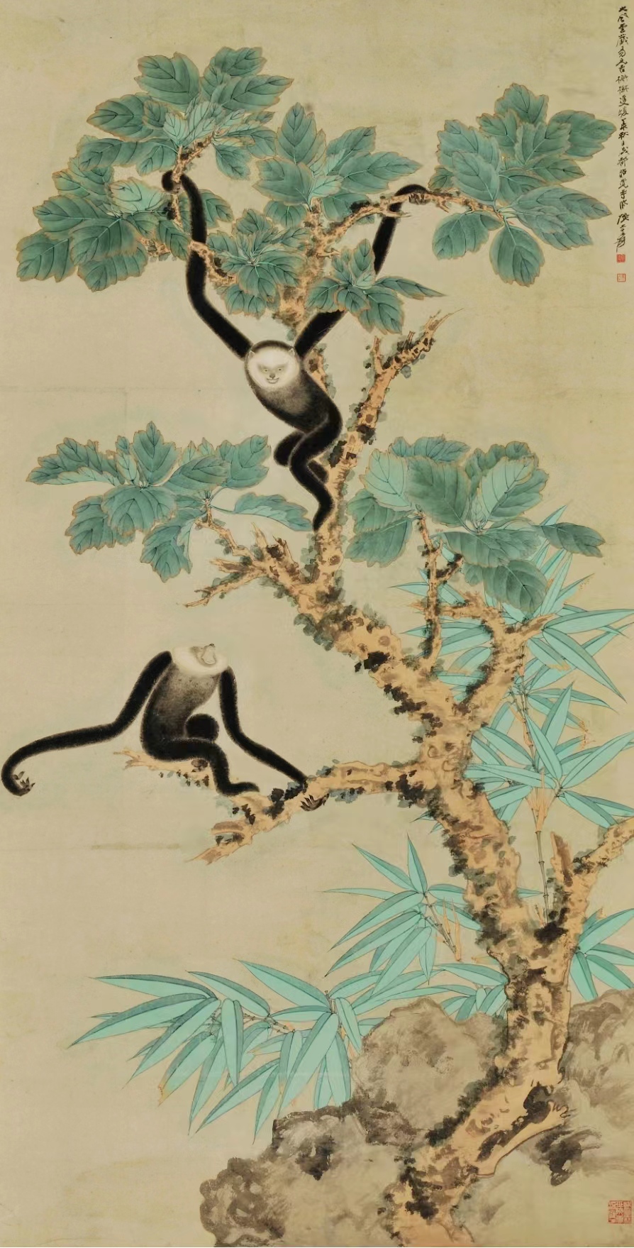 张大千 檞树双猿 20世纪 纸本设色 275X107cm 中央美术学院美术馆藏