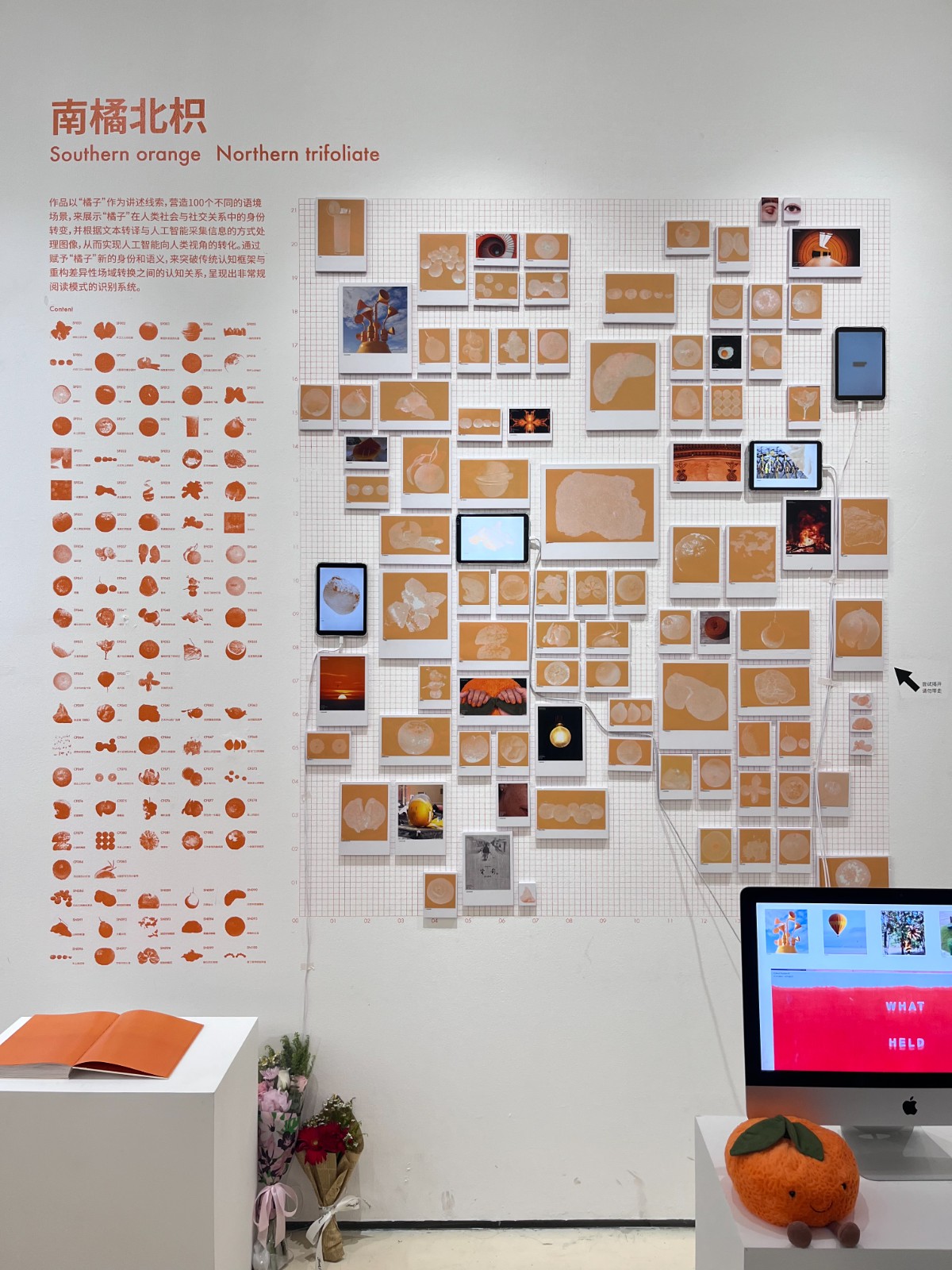 设计学院 王悦嘉《南橘北枳》展览现场，综合材料，尺寸可变，2023