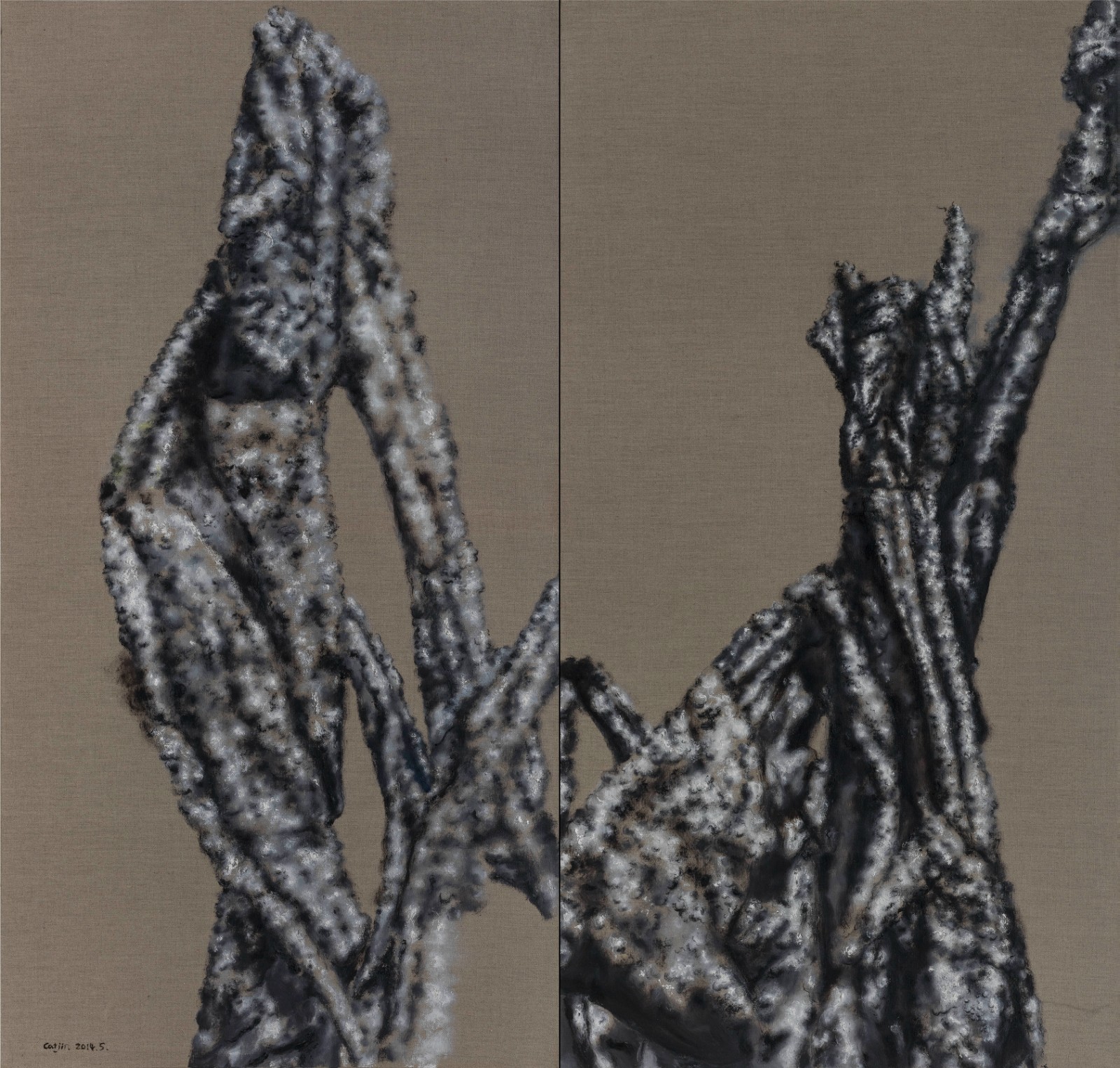 蔡锦 《美人蕉353.354》综合材料，210×220cm，2014年