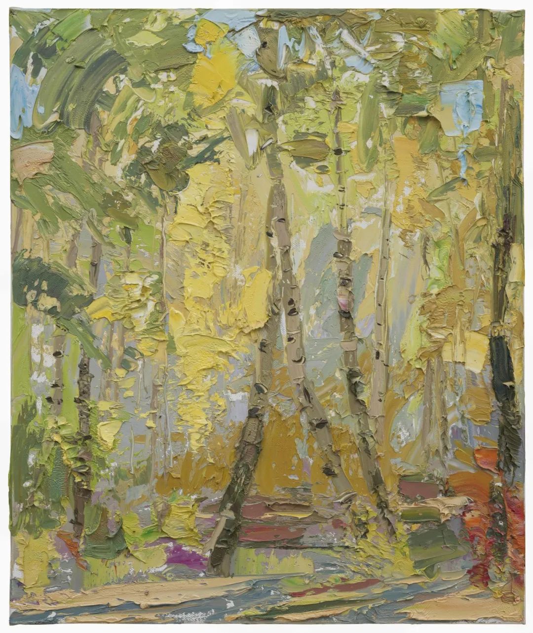 《桦林公园》，60x50cm，布面油画，2023