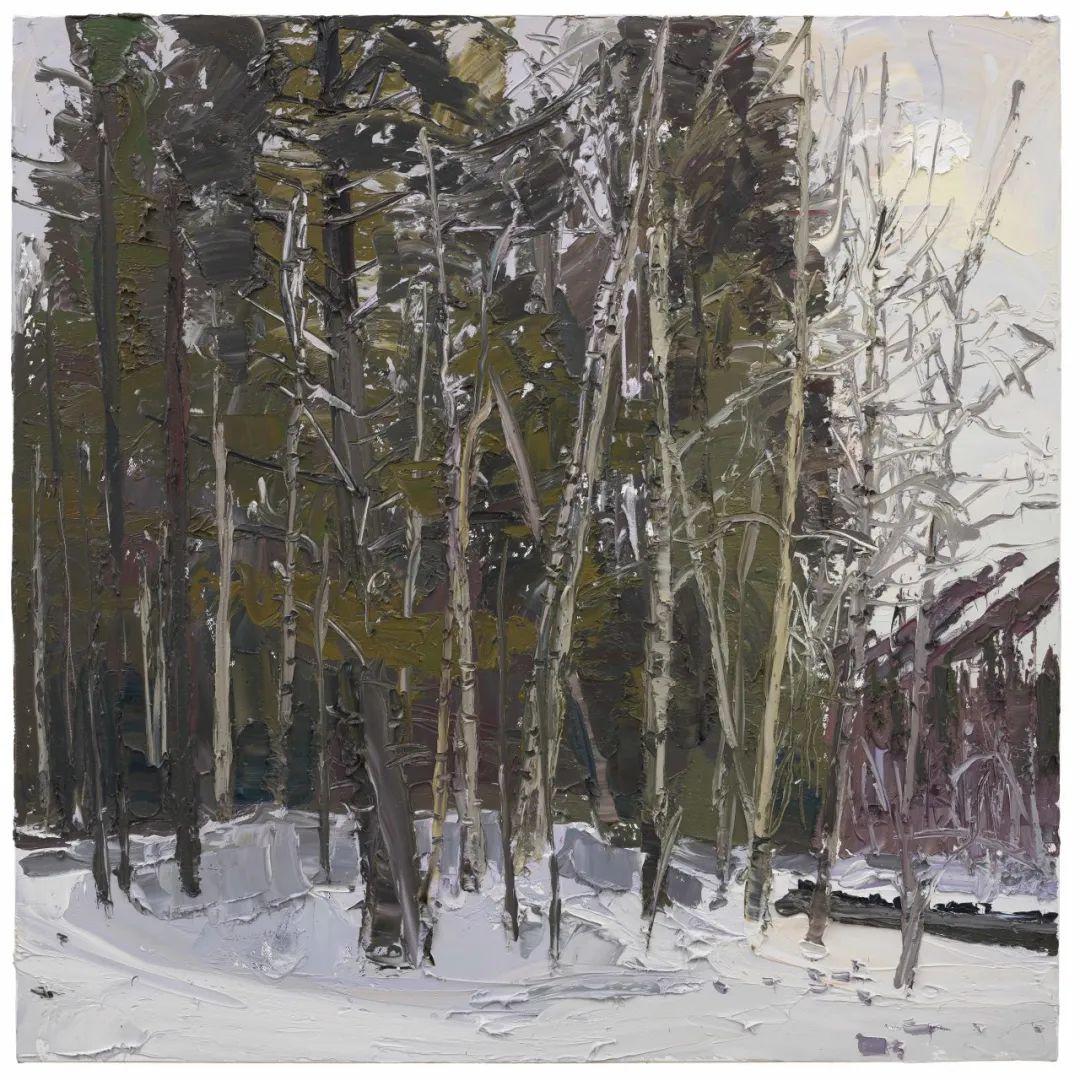 《冬日》，80x80cm，布面油画，2023