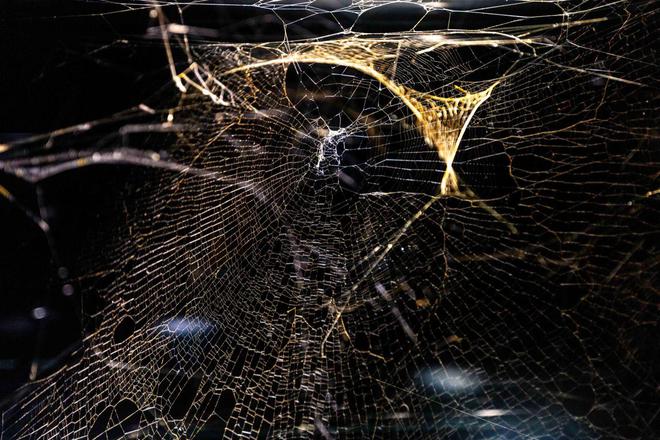 蜘蛛侠”托马斯·萨拉切诺携“共生”登陆红砖美术馆
