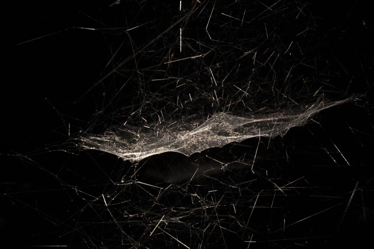 蜘蛛的启示——萨拉切诺“编织”的行动者网络