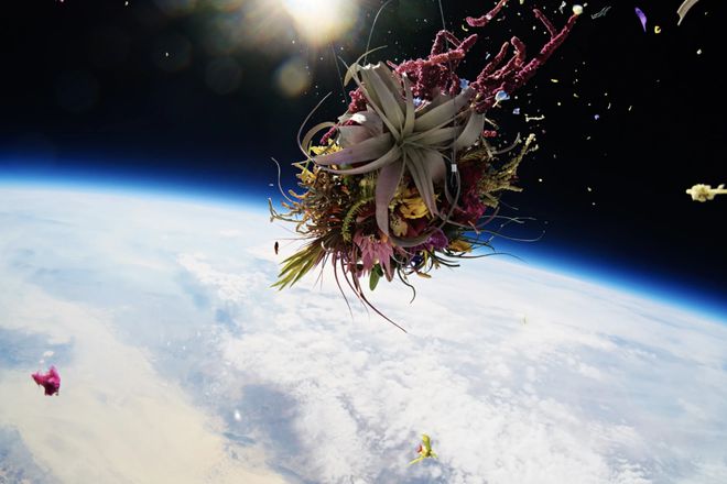 世界航天日：艺术界的“太空竞赛”
