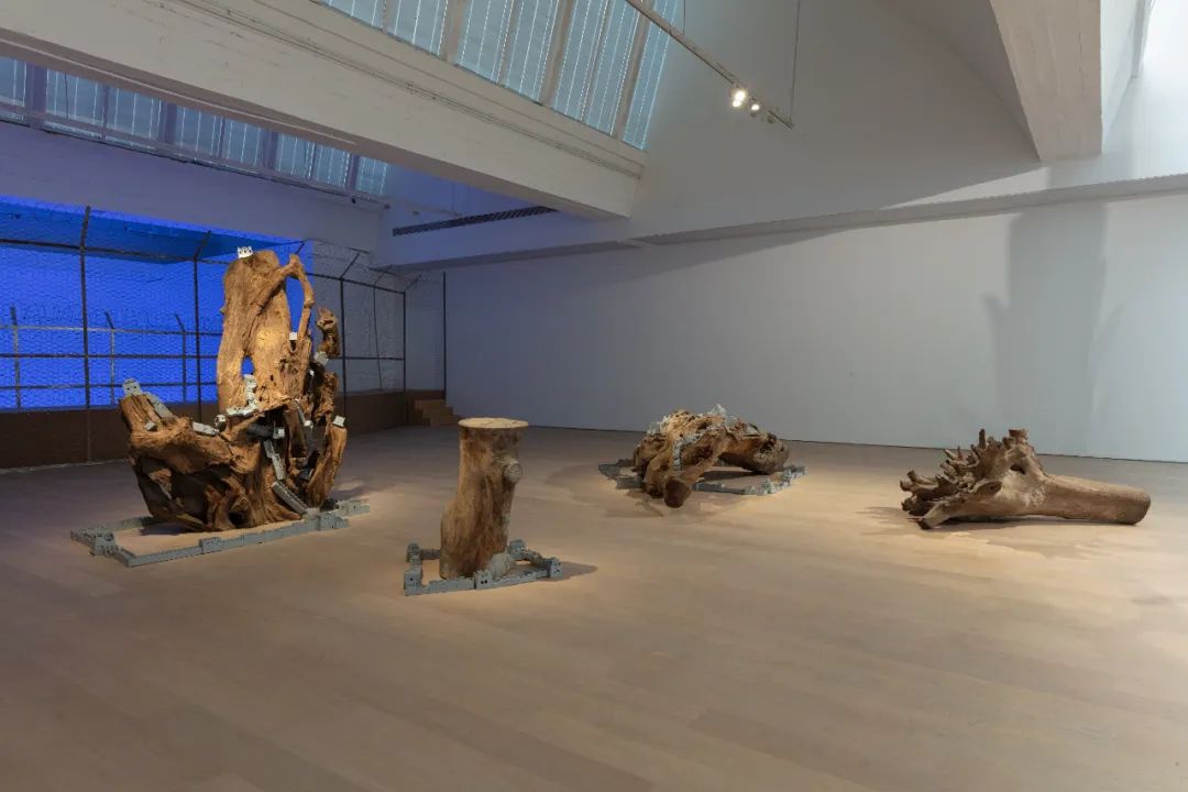 1 沈远，《延长的根》, 2005–2023，树根、乐⾼砖块，960 × 500 × 260 cm