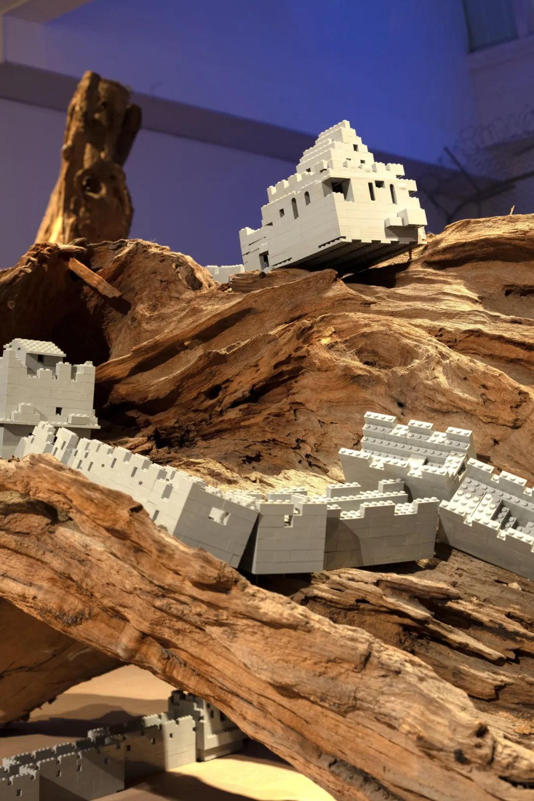 2 沈远，《延长的根》, 2005–2023，树根、乐⾼砖块，960 × 500 × 260 cm