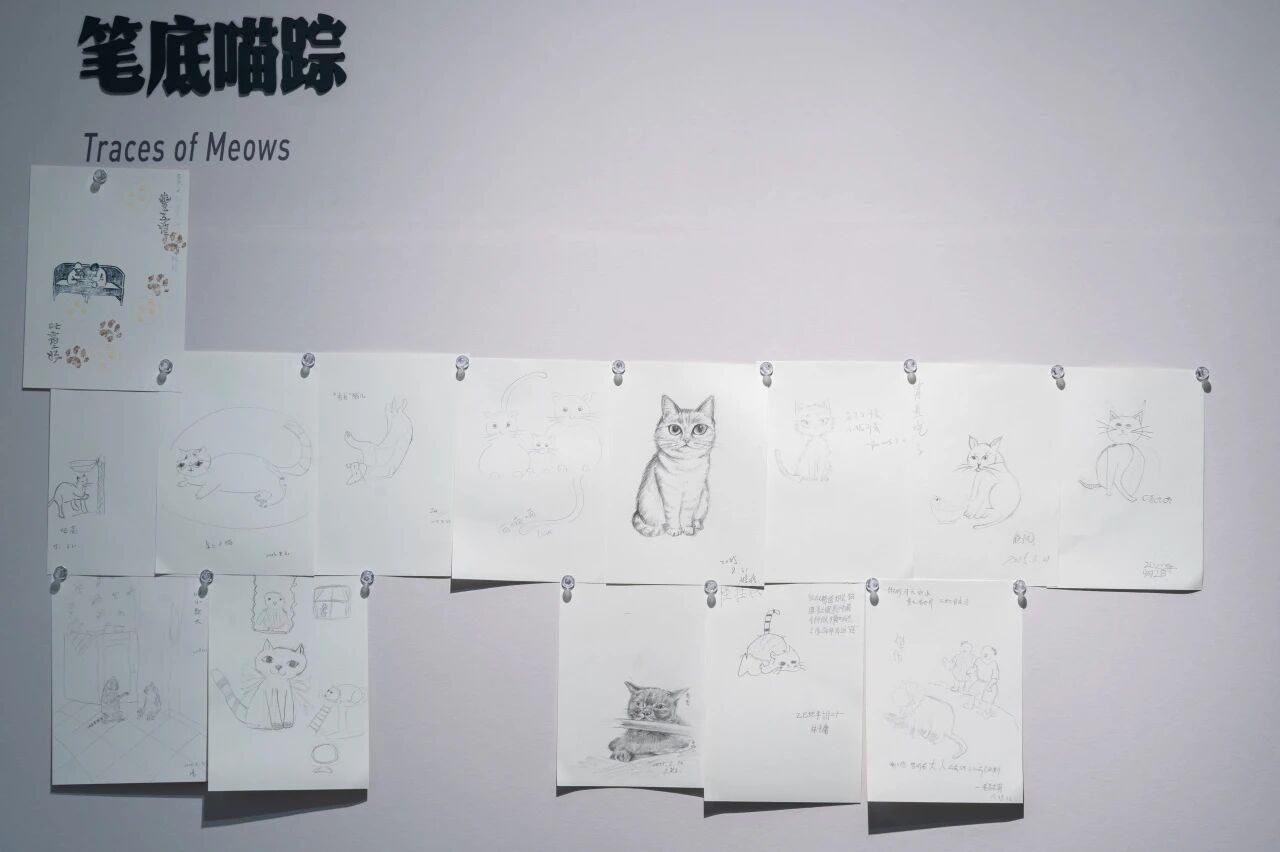 微信图片_20251013203034