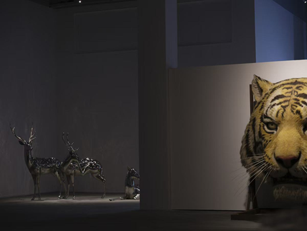 映·蔡志松2025艺术展展览现场08